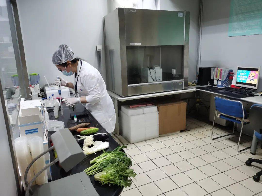 高坪食品检测实验室装修方案